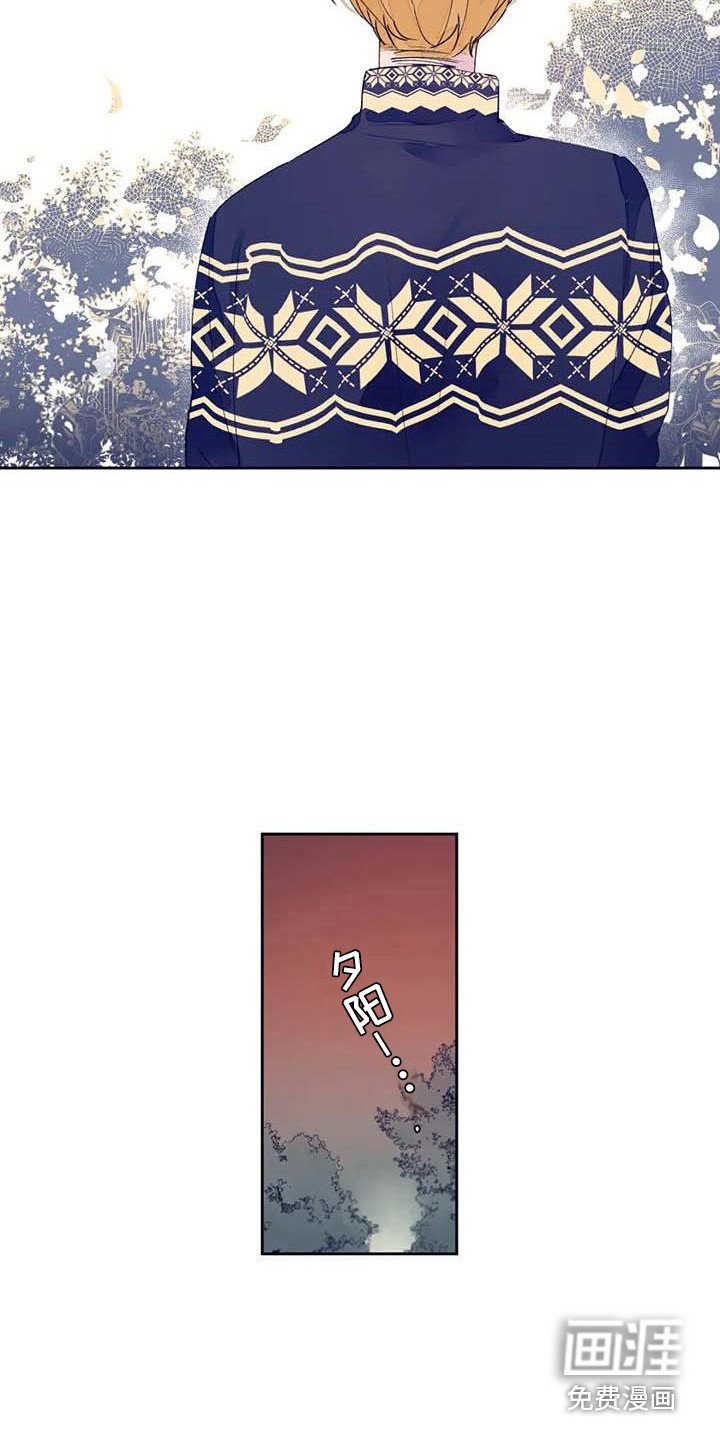 第21章：没回复