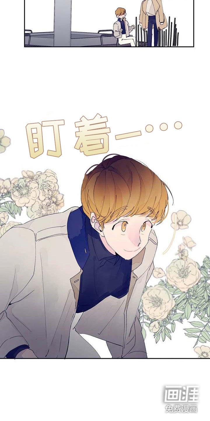 第25章：很合适（完结）