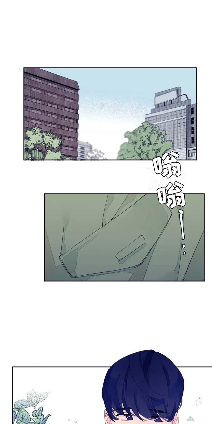 第3章：发消息