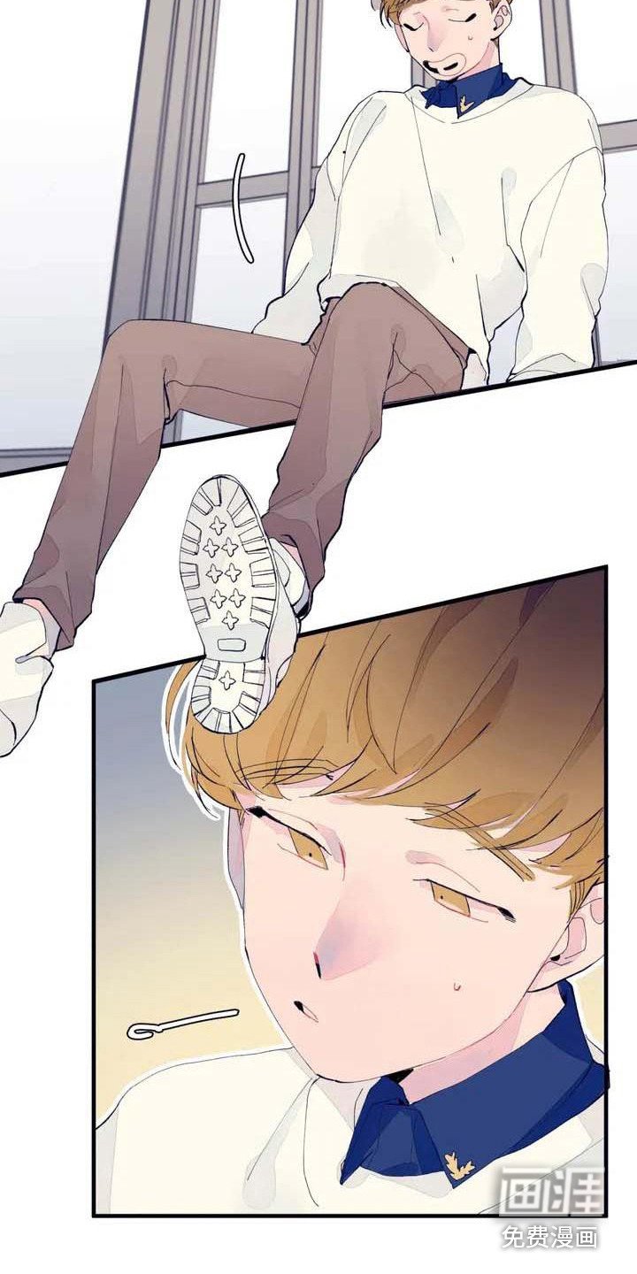 第6章：搞不懂