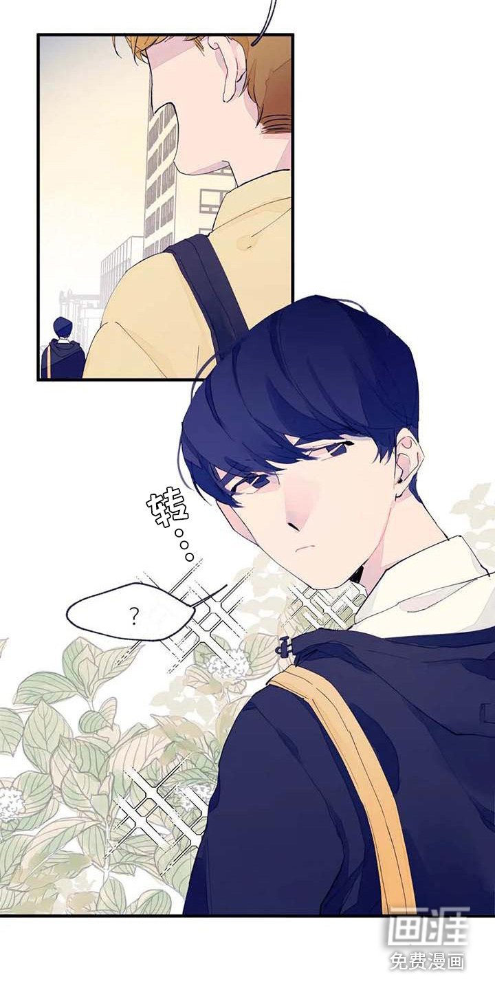 第7章：询问