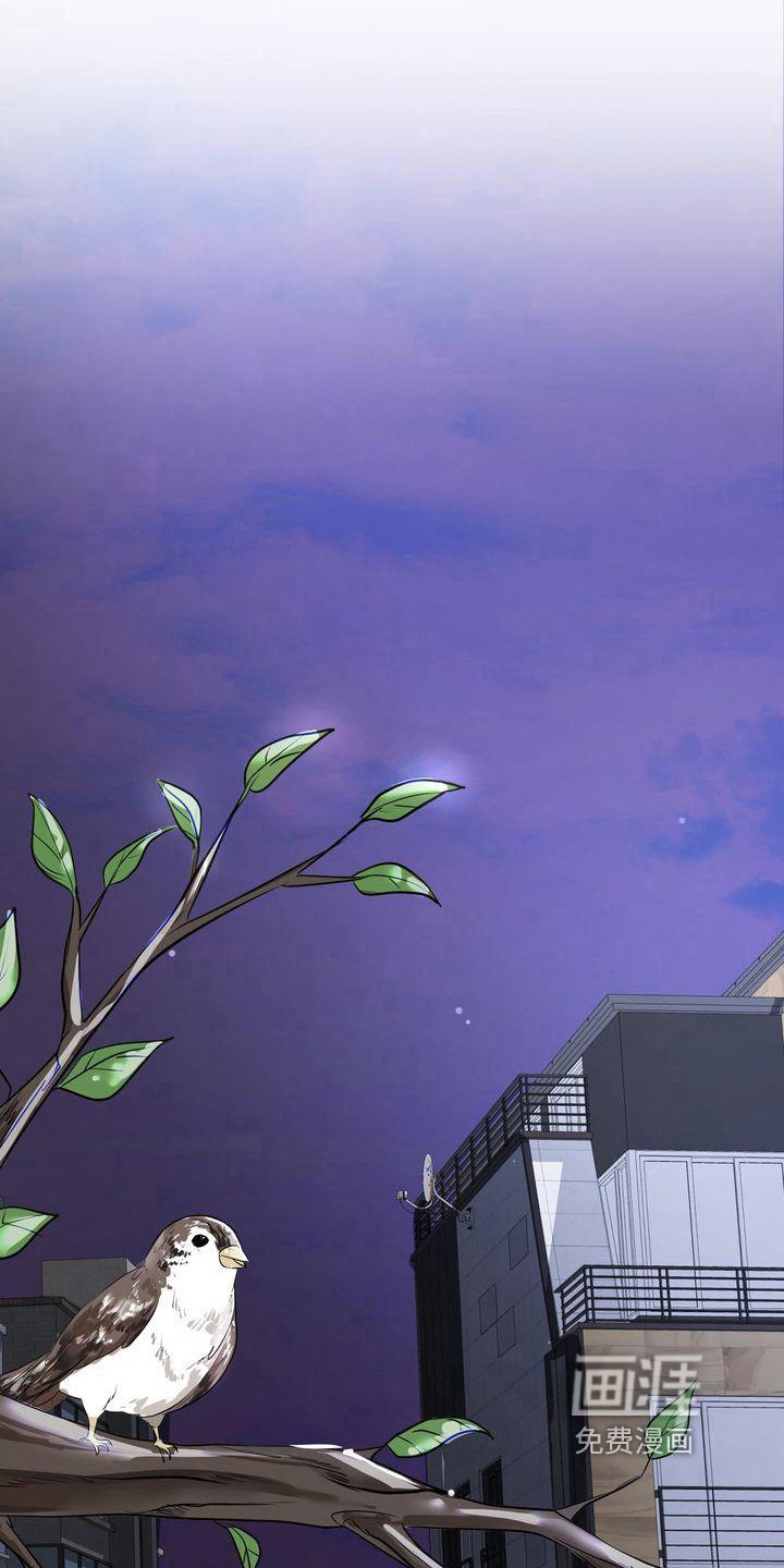 第13章：倾诉