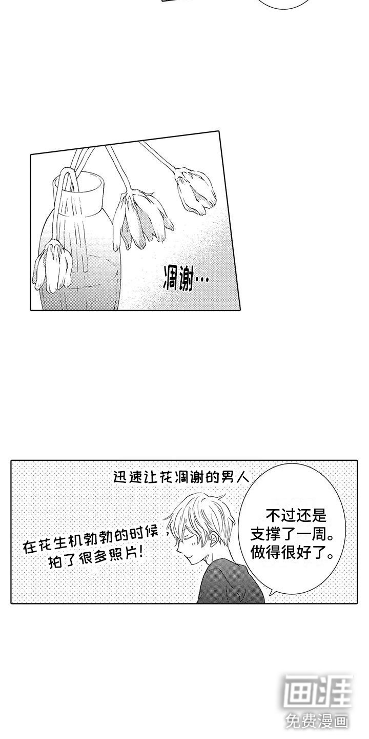 第12章：我想见你