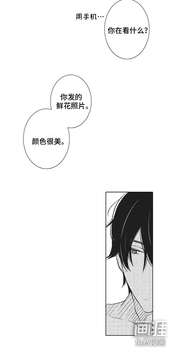第20章：恶意使用
