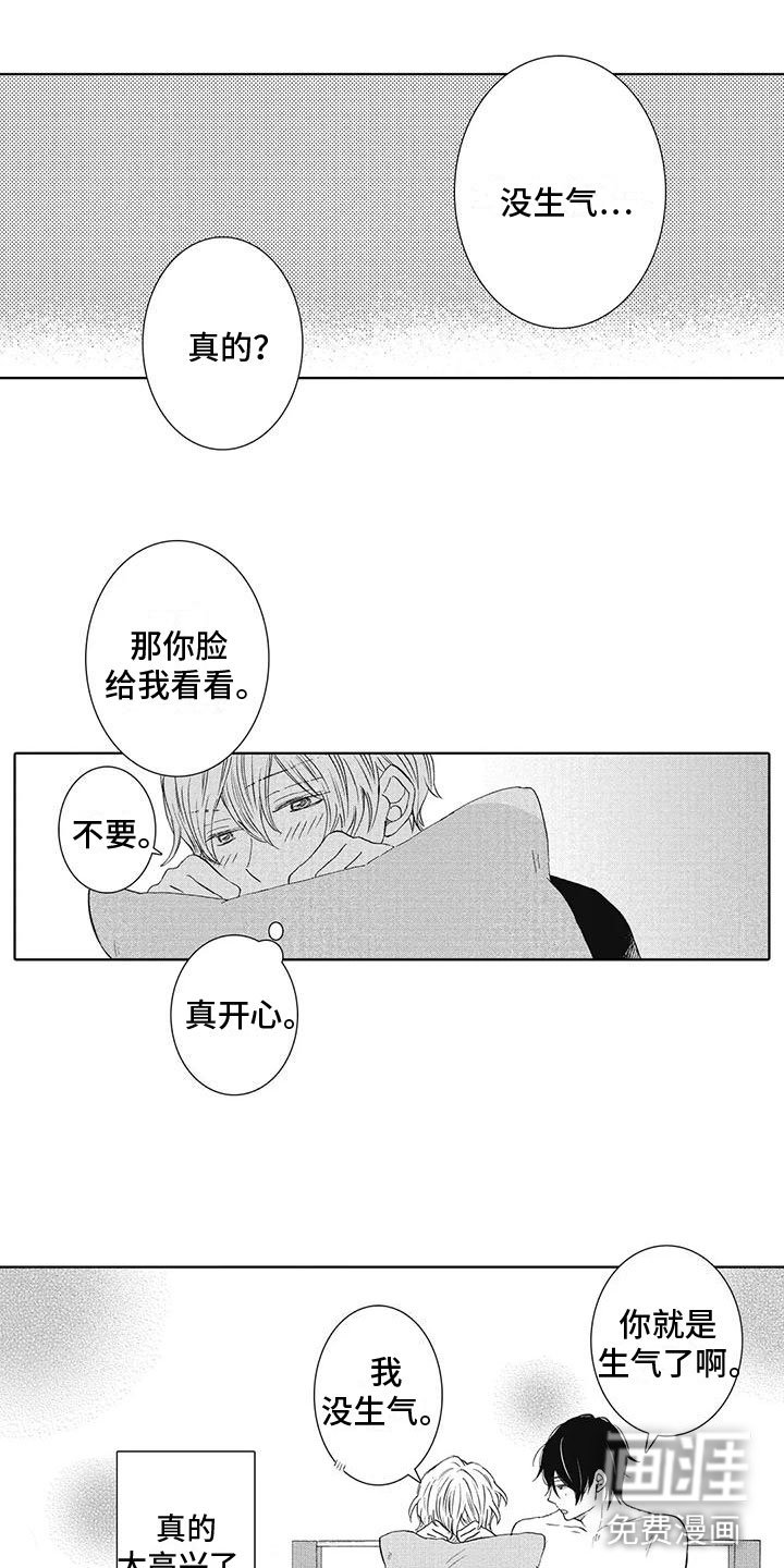 第20章：恶意使用