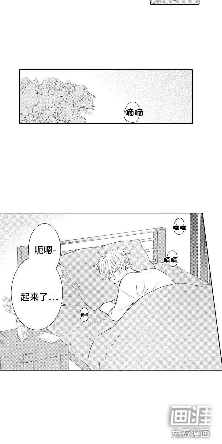 第4章：不是梦