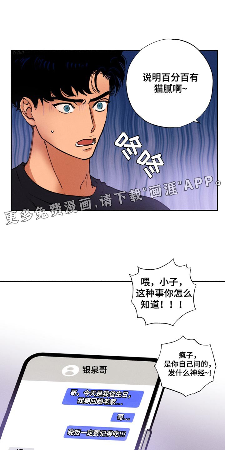 第26章：猫腻
