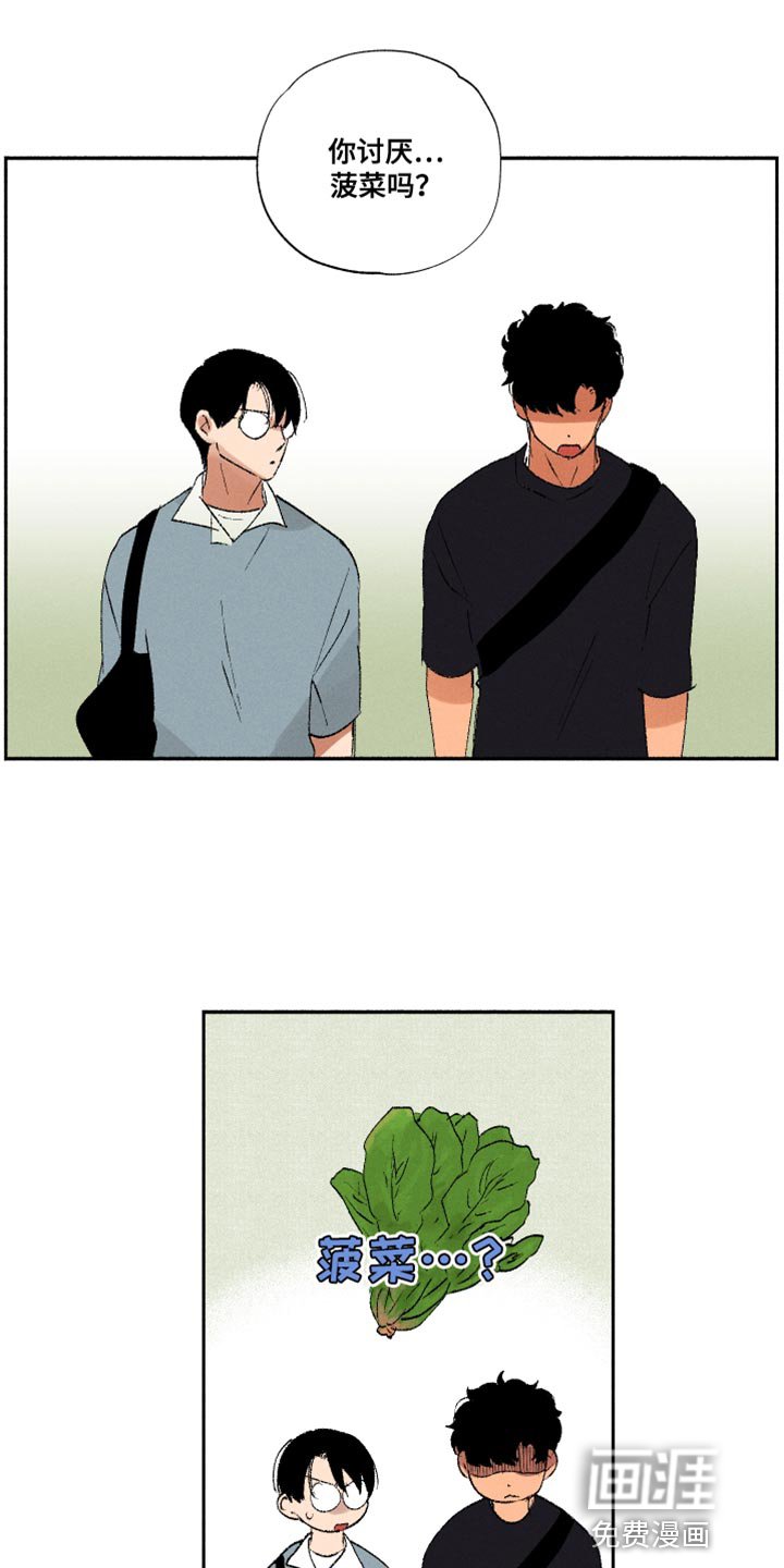 第32章：菠菜