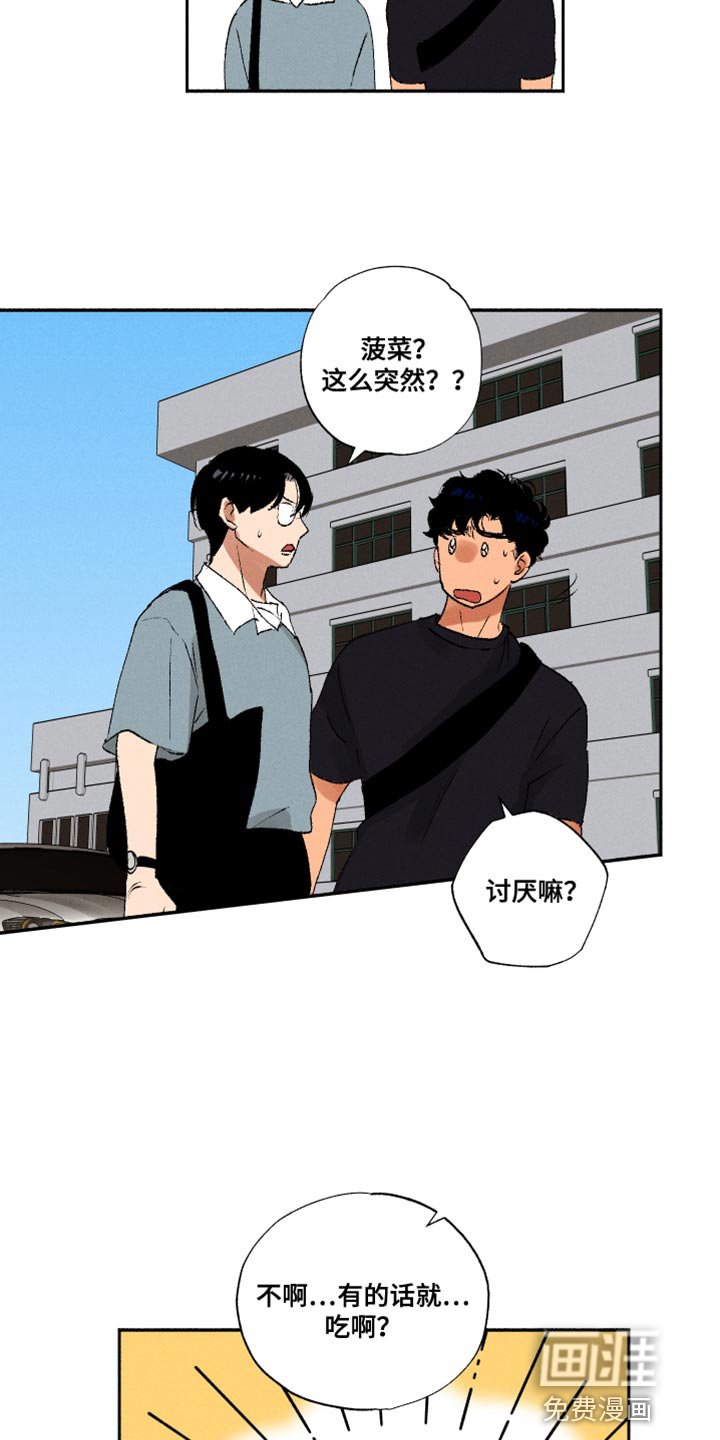 第32章：菠菜