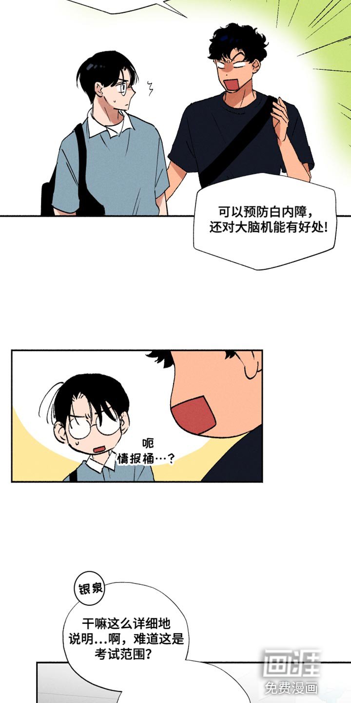 第32章：菠菜