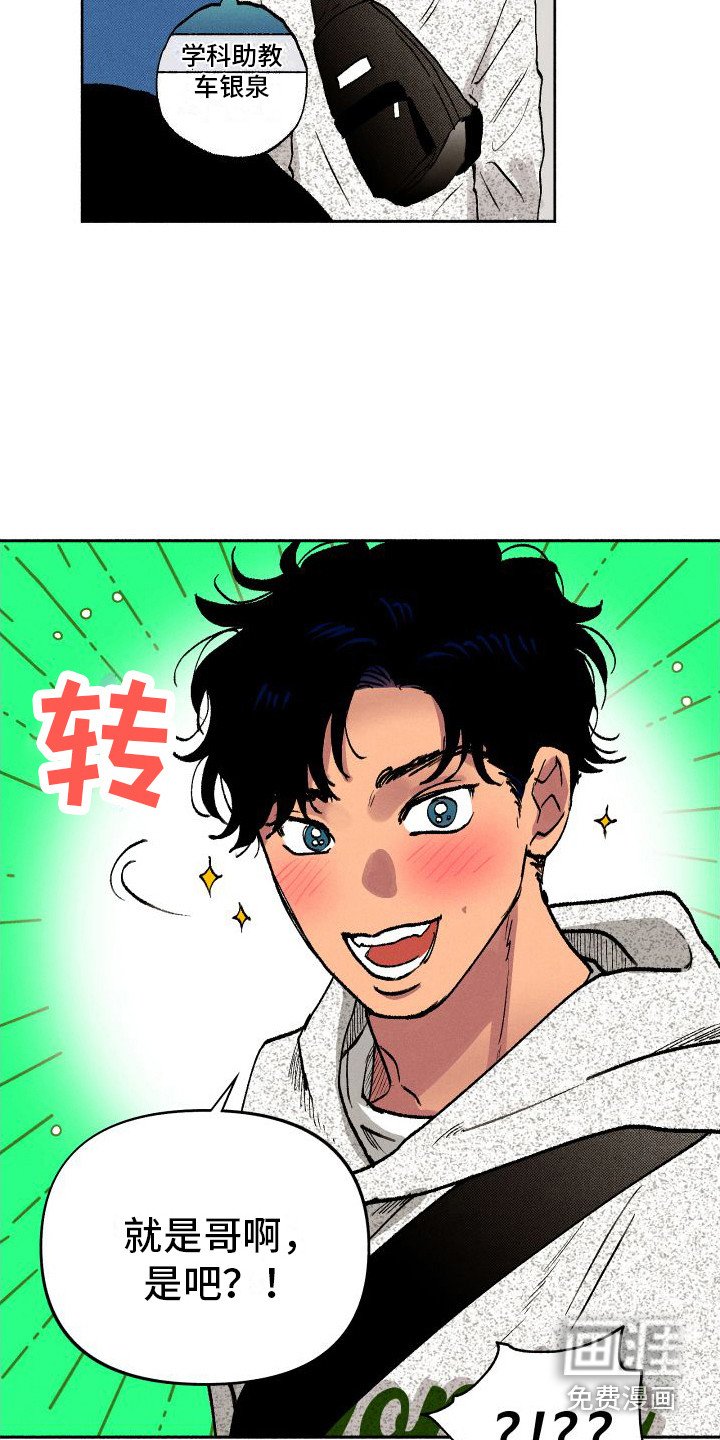 第4章：又见面了