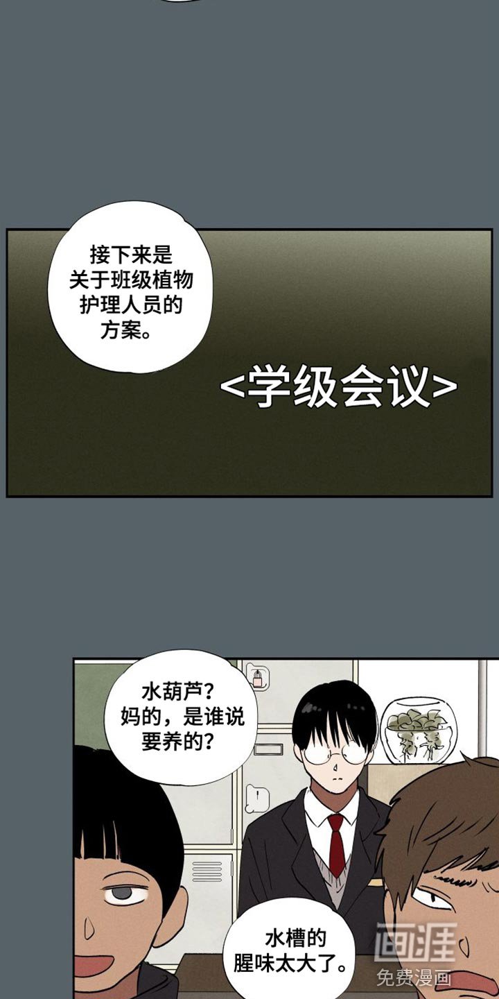 第43章：水葫芦