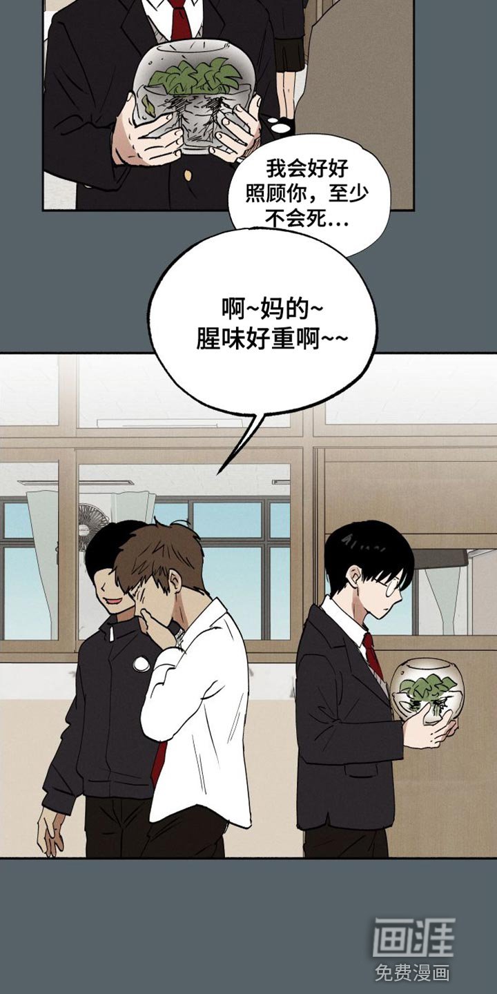 第43章：水葫芦
