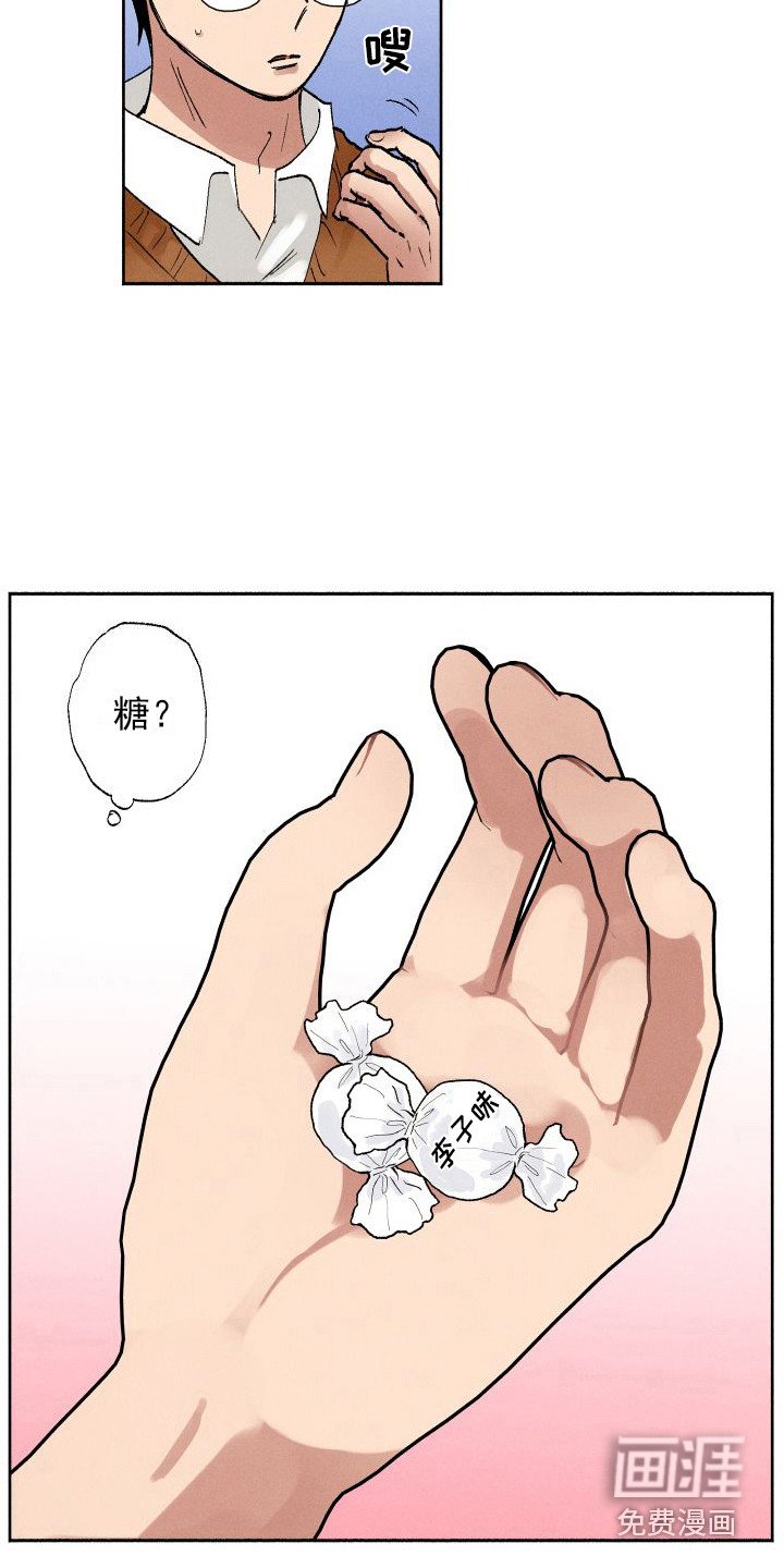 第6章：糖果