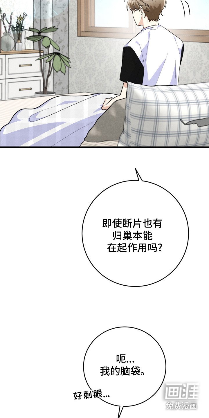 第11章： 帅气女婿