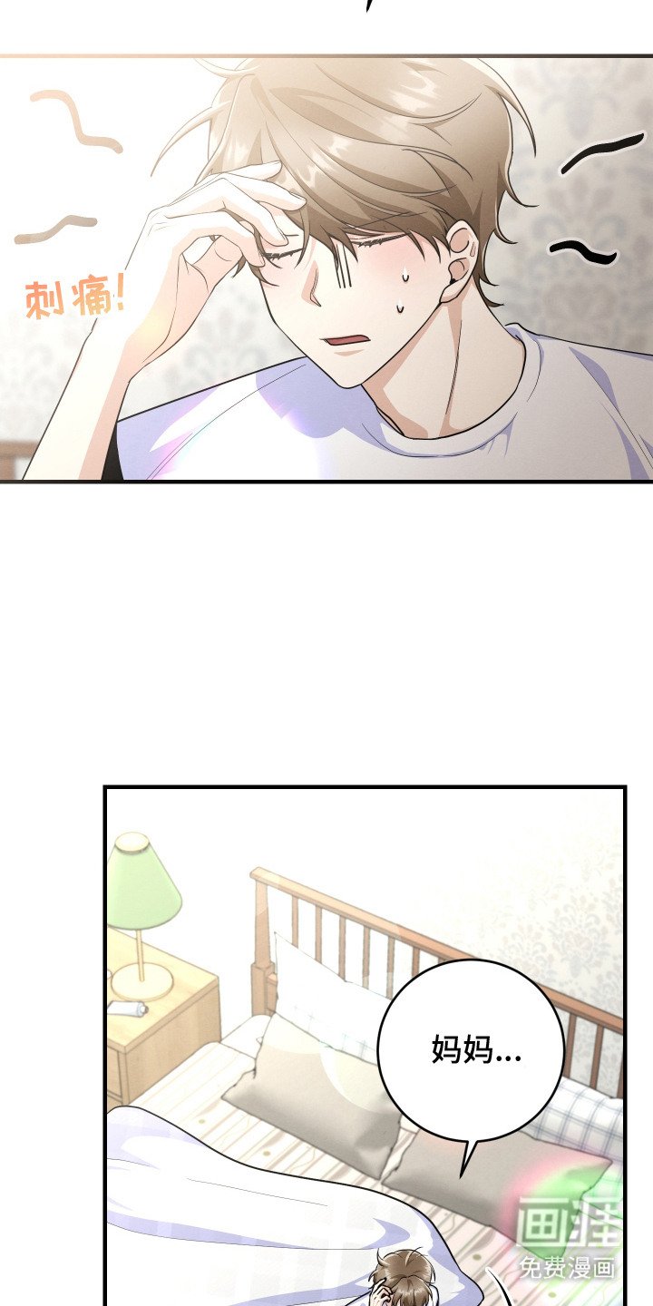 第11章： 帅气女婿