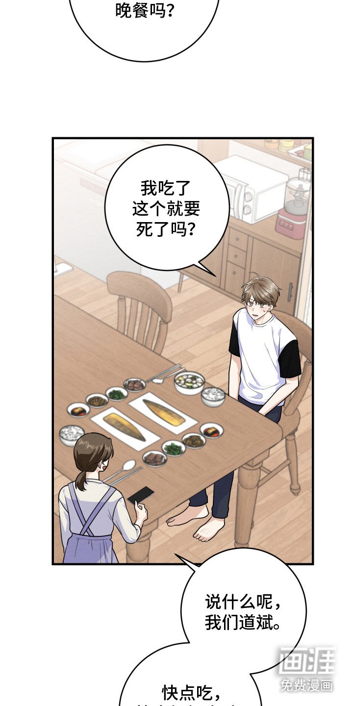 第11章： 帅气女婿
