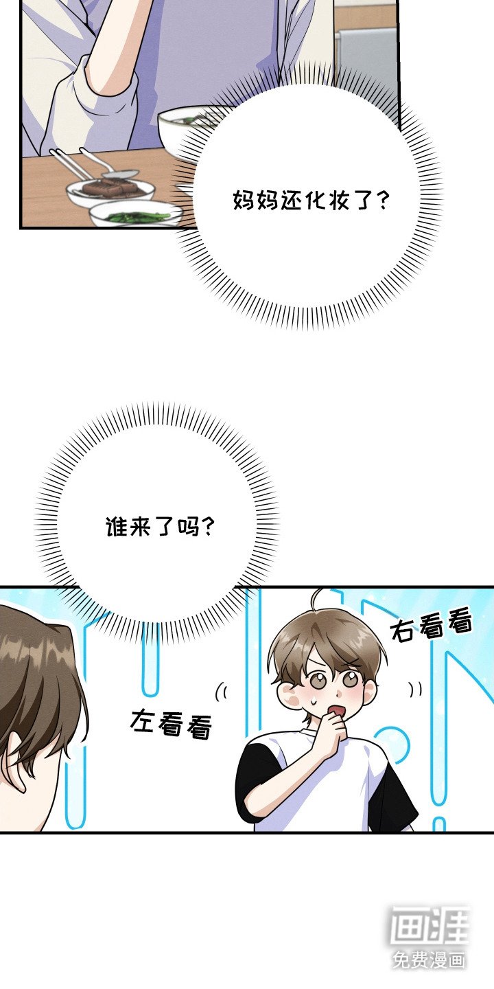 第11章： 帅气女婿
