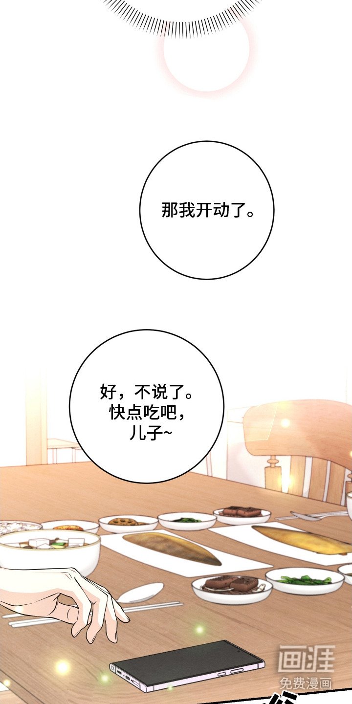 第11章： 帅气女婿