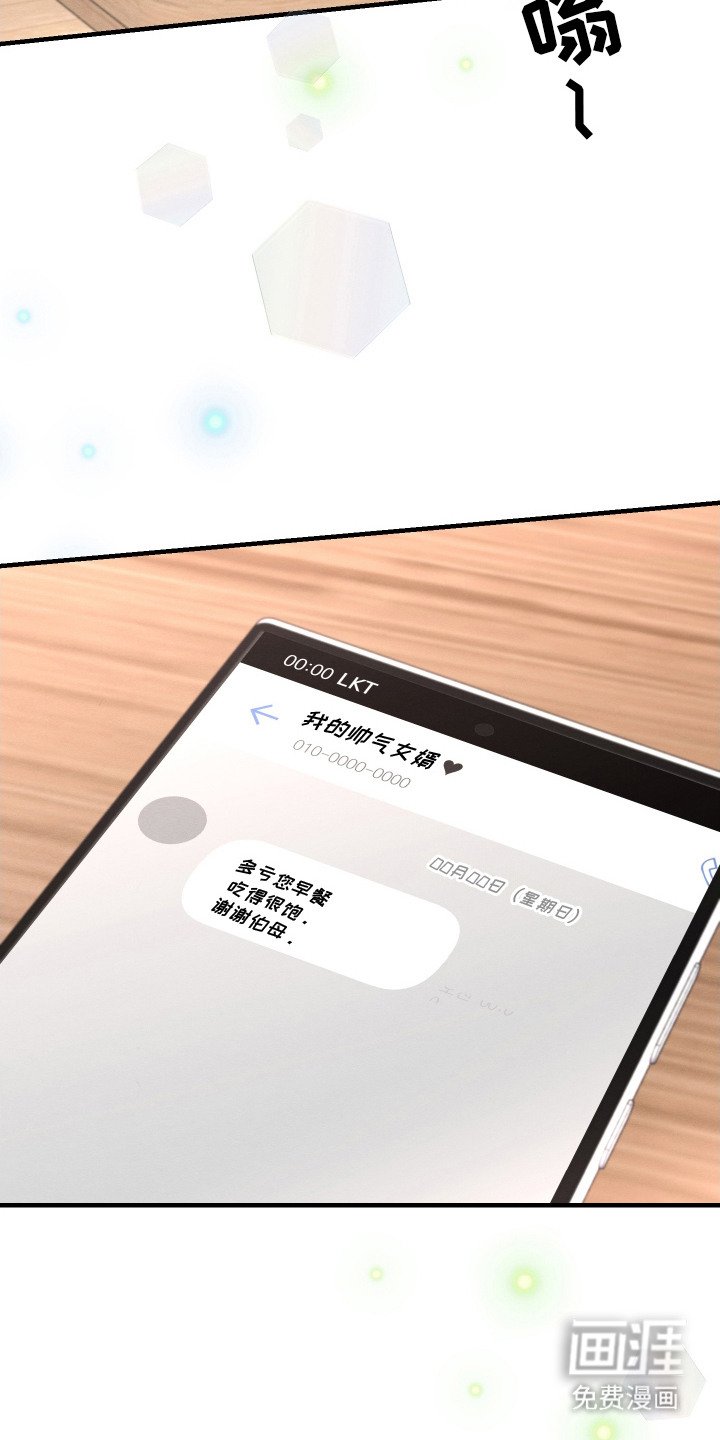 第11章： 帅气女婿