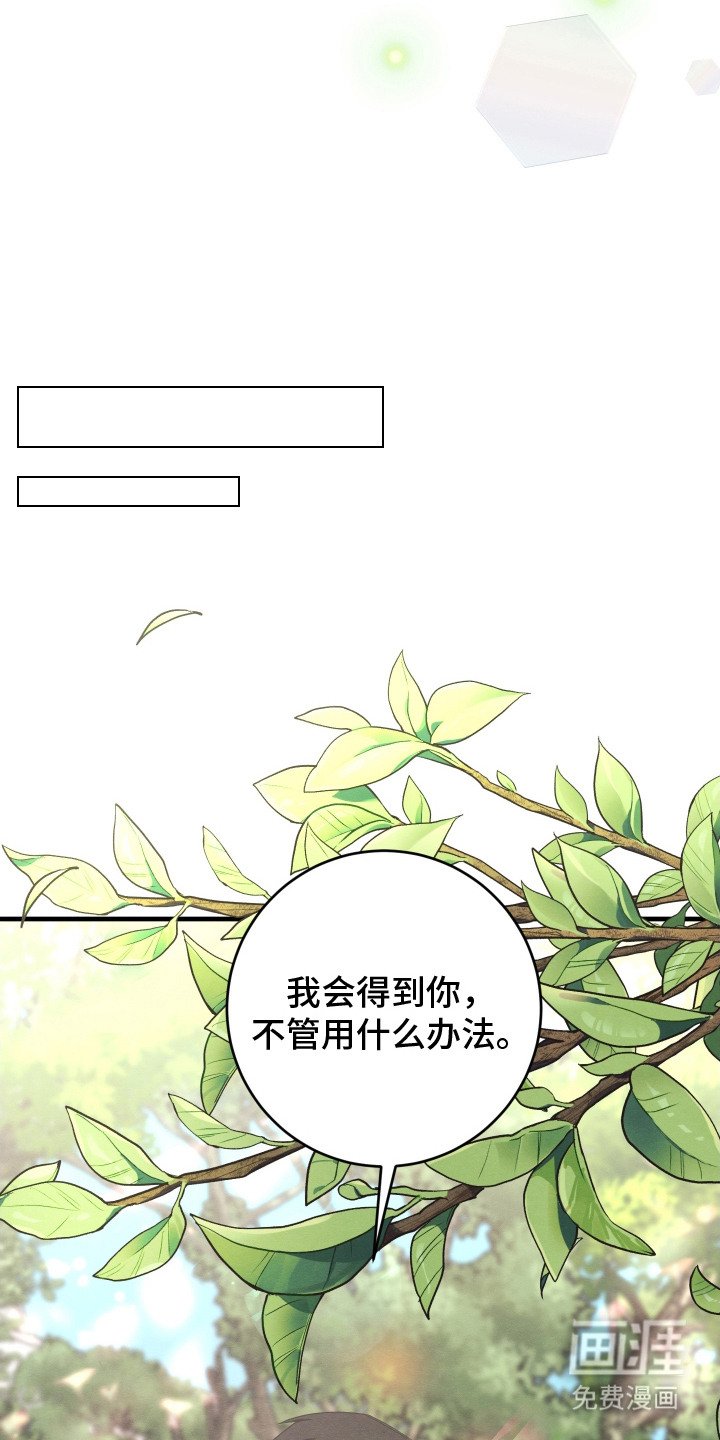 第11章： 帅气女婿