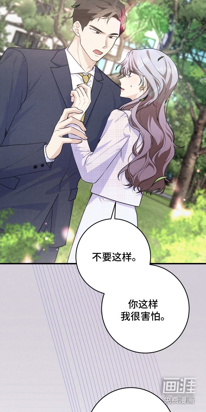 第11章： 帅气女婿