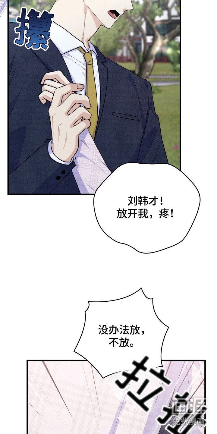 第11章： 帅气女婿