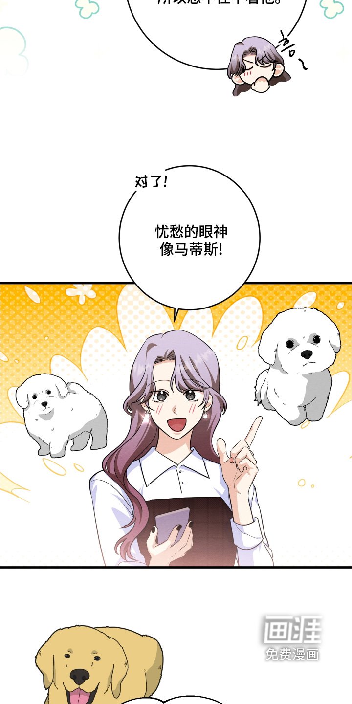 第17章：善良的人