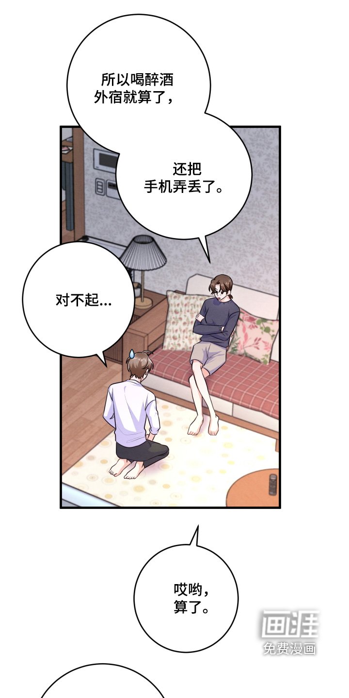 第19章：电话