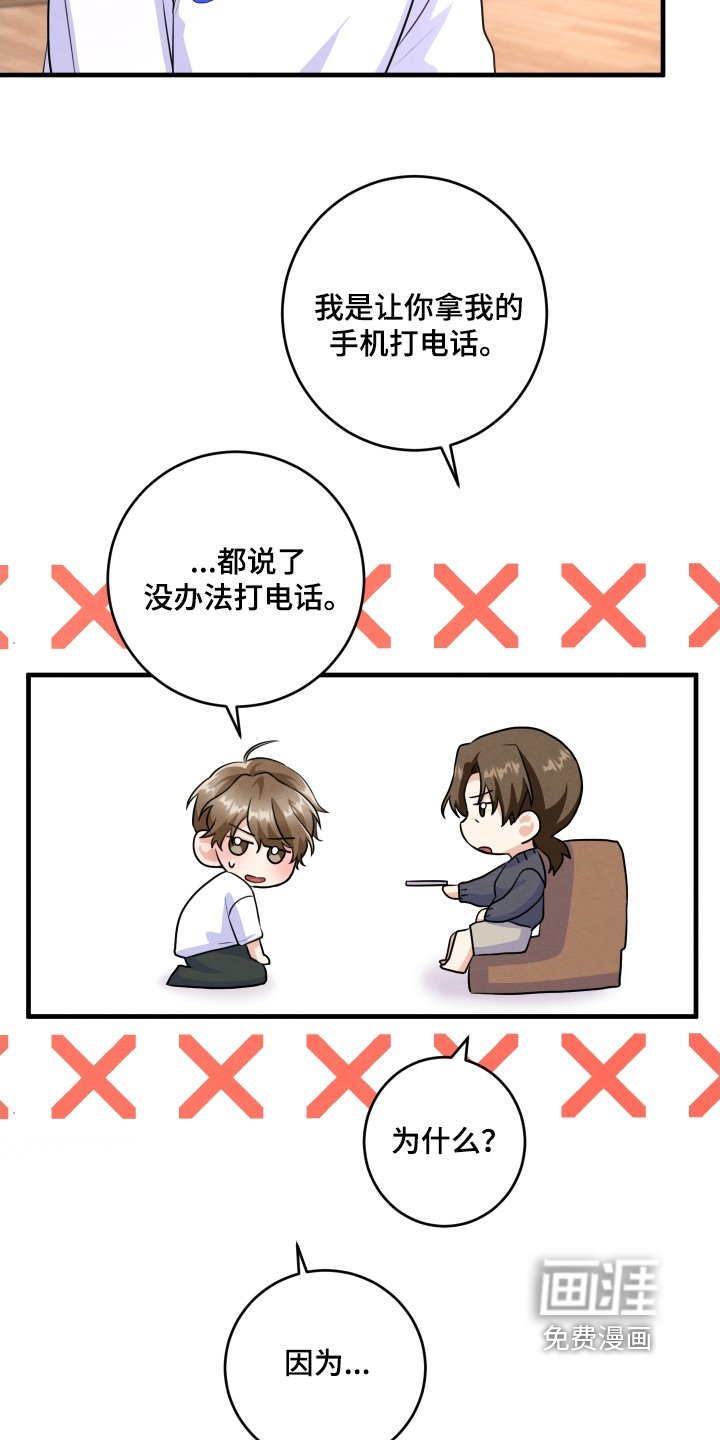 第19章：电话