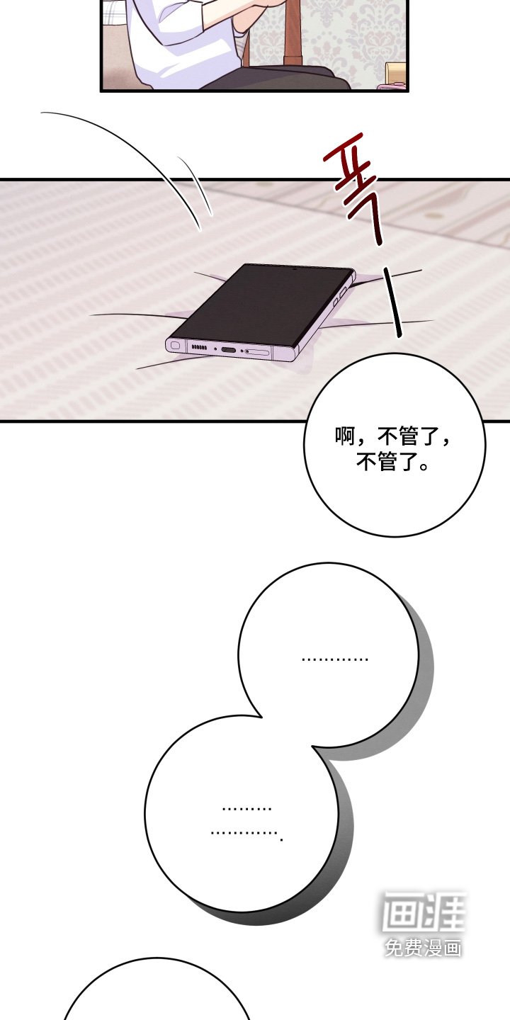 第19章：电话