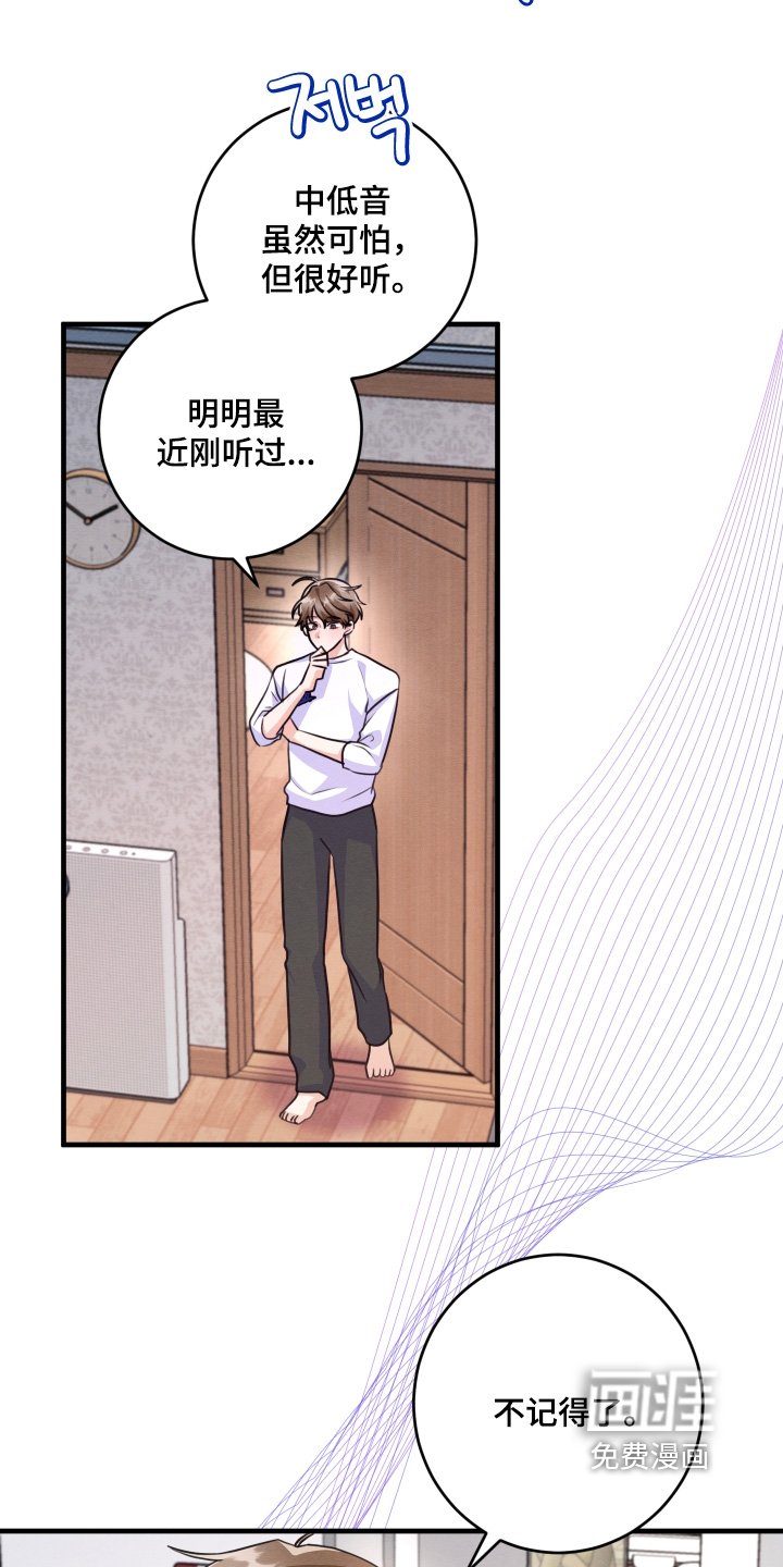 第19章：电话