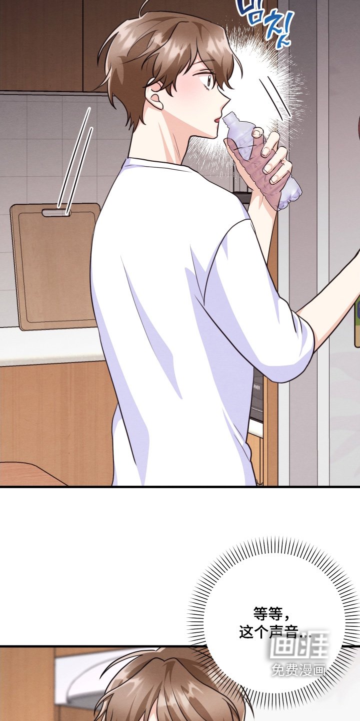 第19章：电话
