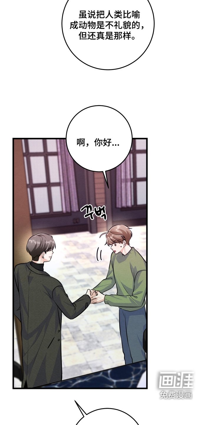 第36章：确实眼熟