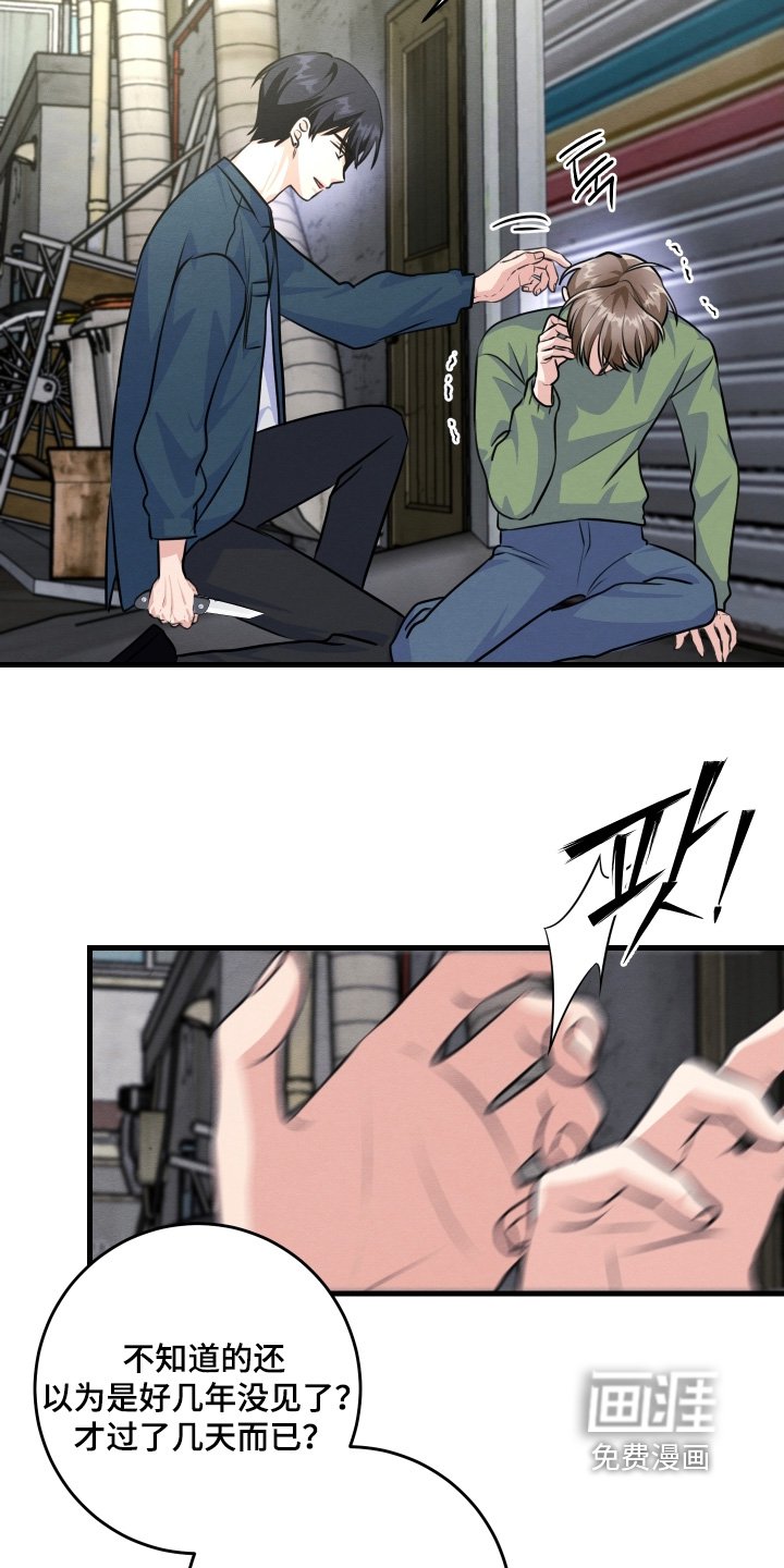 第37章：你没事吧