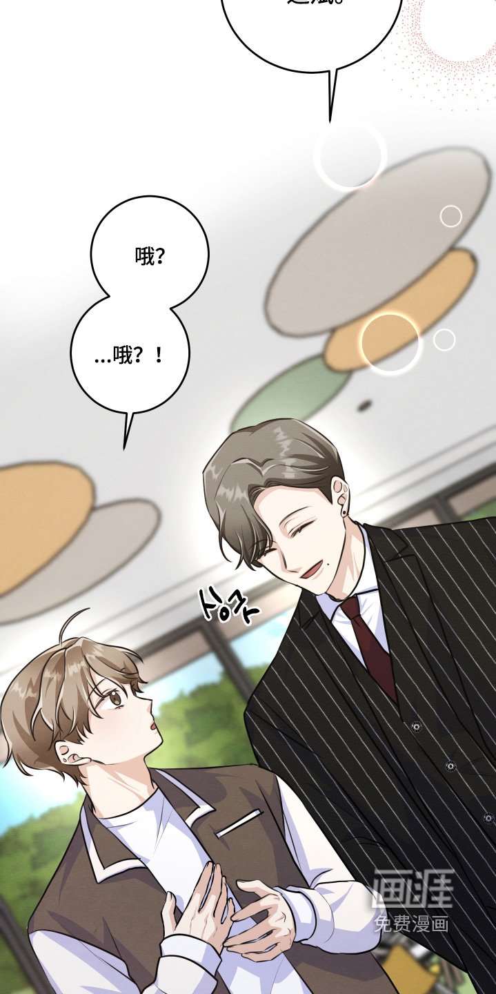 第39章：担心什么