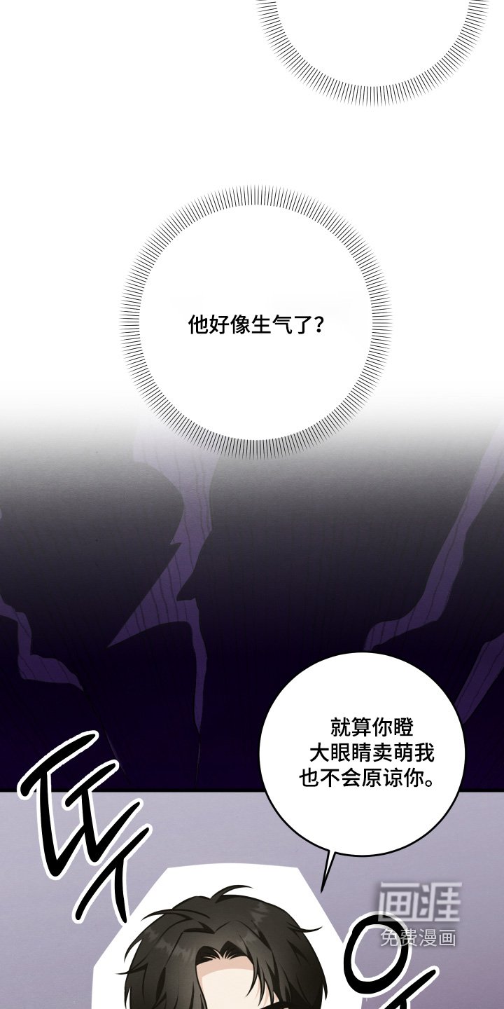 第40章：你先回答我