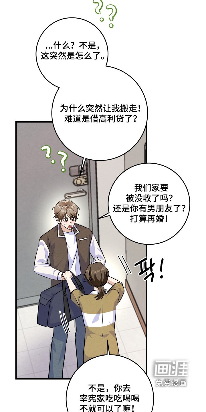第44章：真可恶