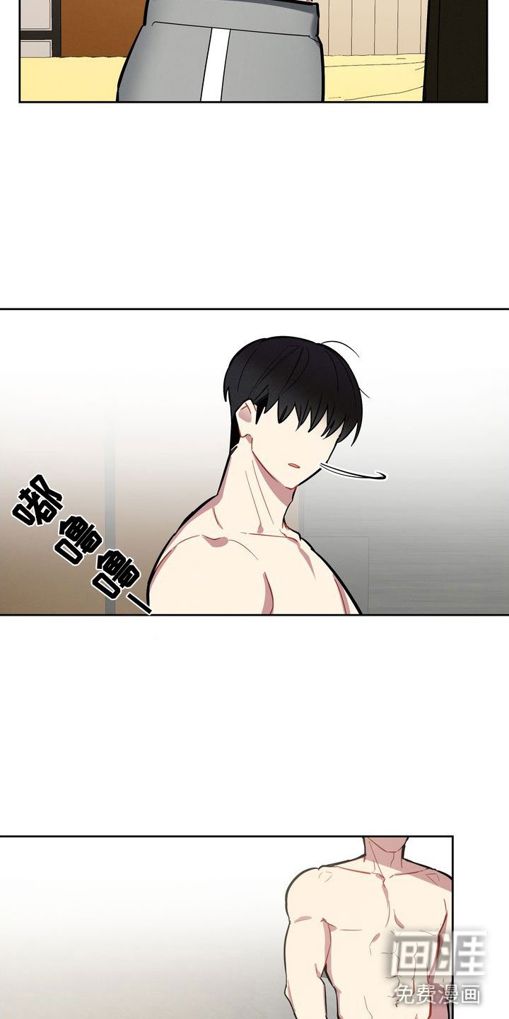 第10章：理想型