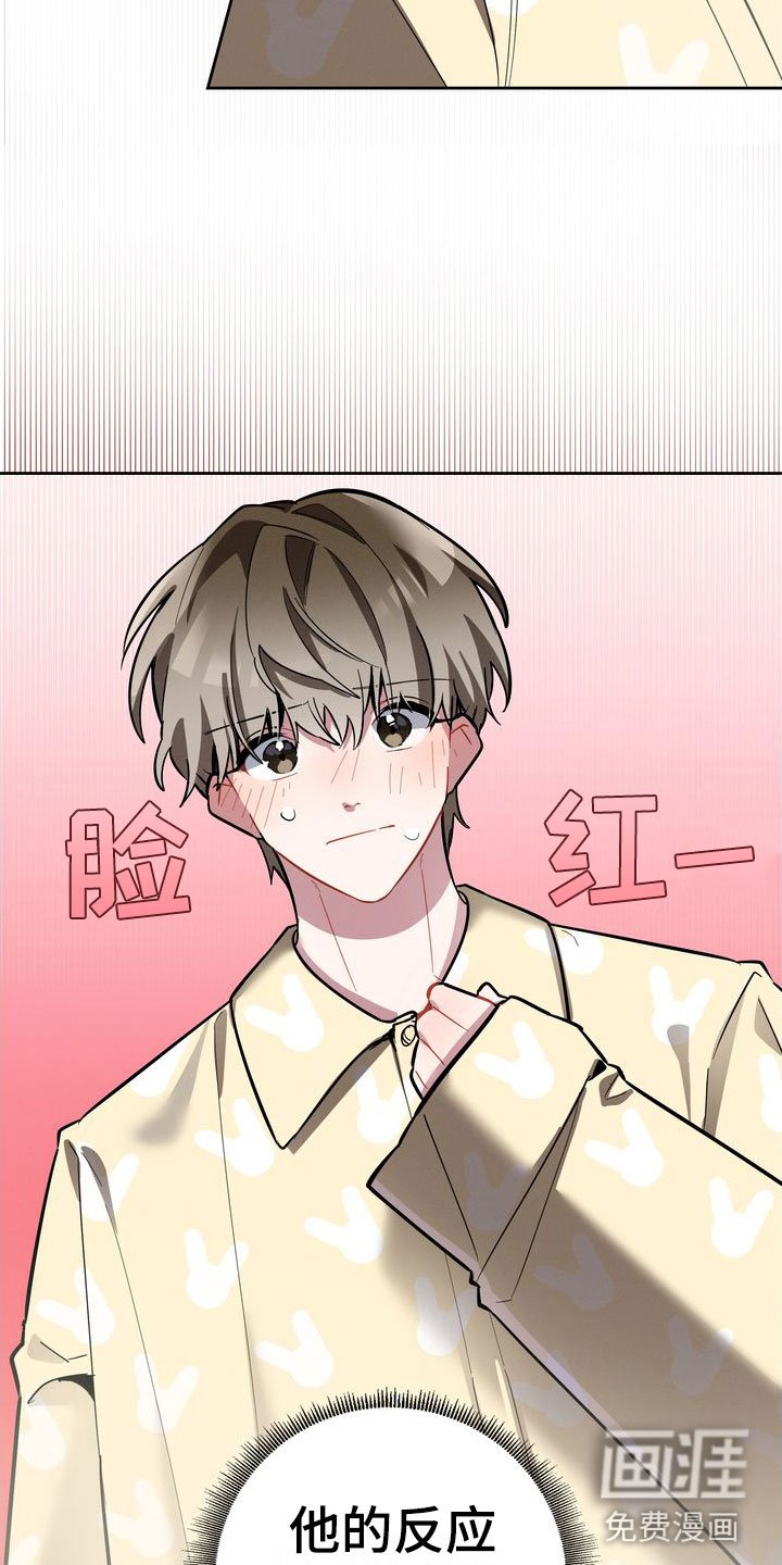 第10章：理想型