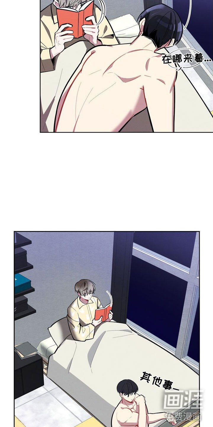 第10章：理想型