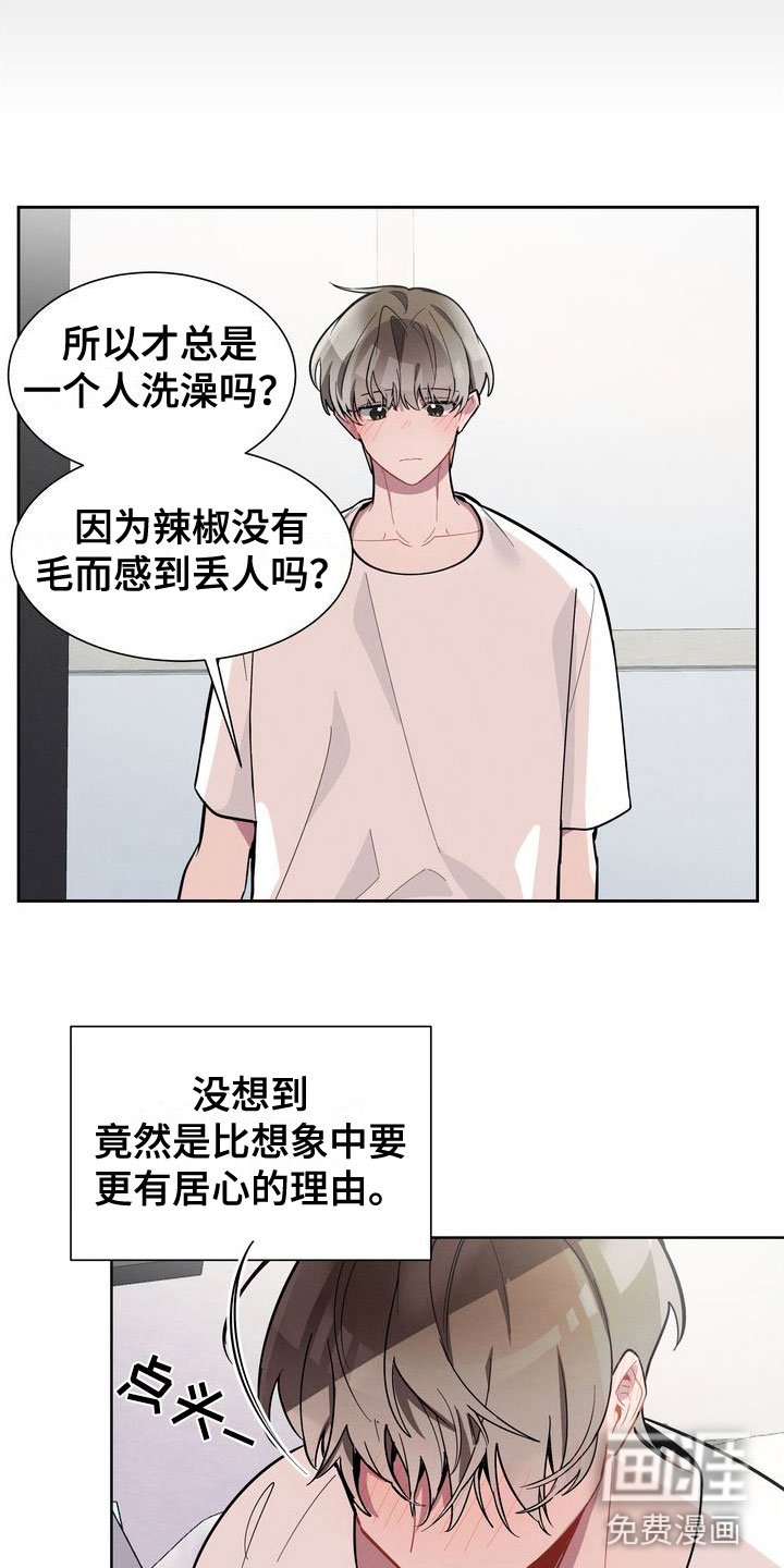 第15章：试试吧