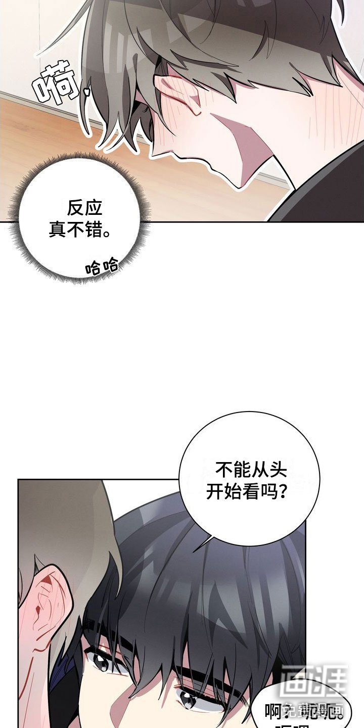 第4章：观察