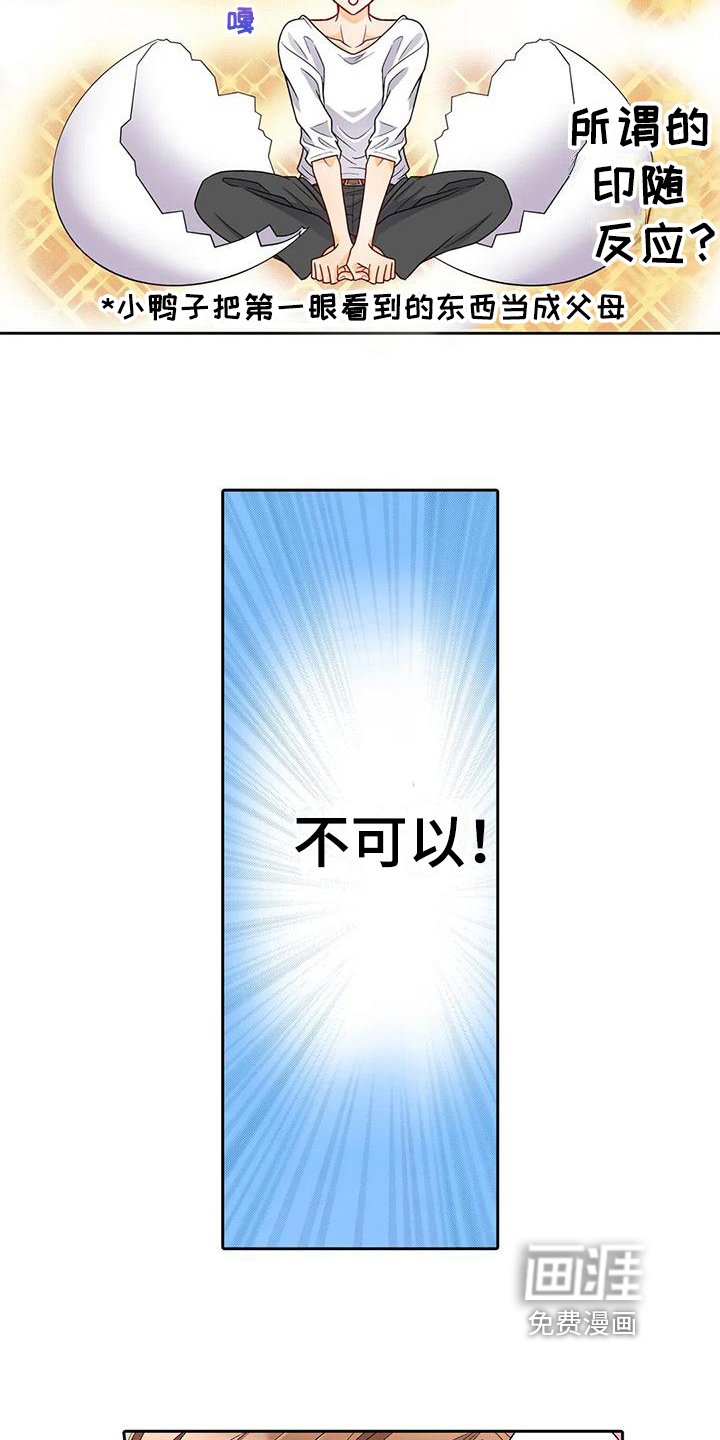 第12章：喜欢