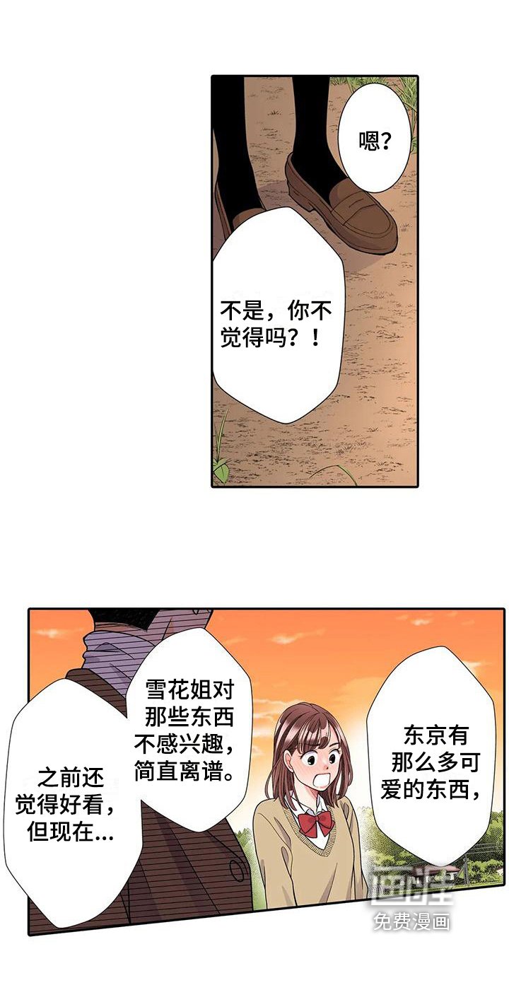 第19章：散步
