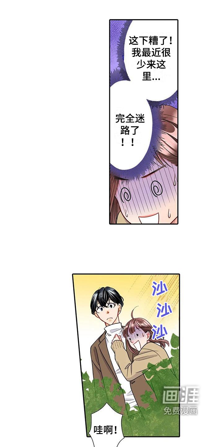 第20章：迷路