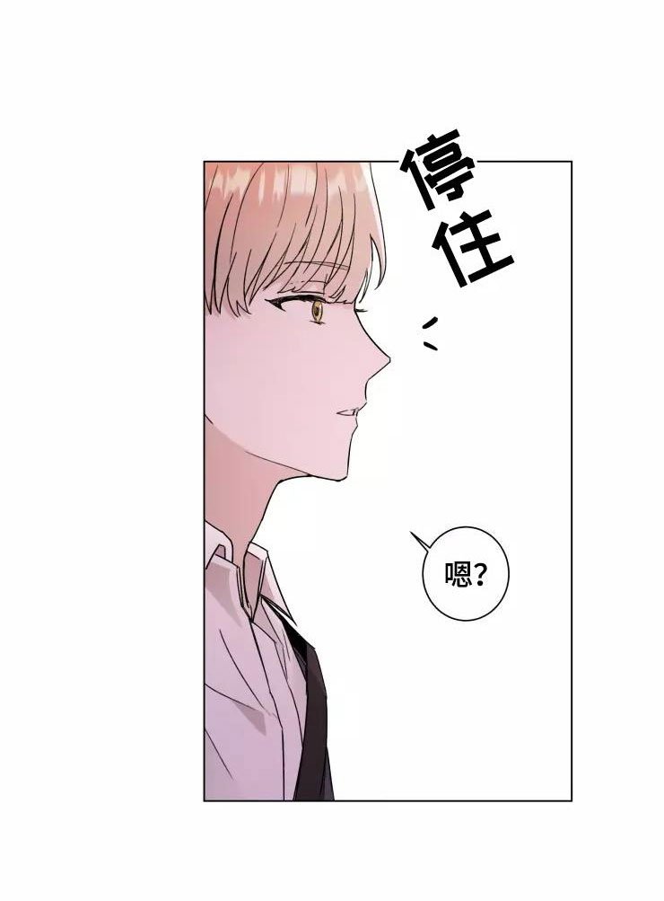 第1章：大胆一点