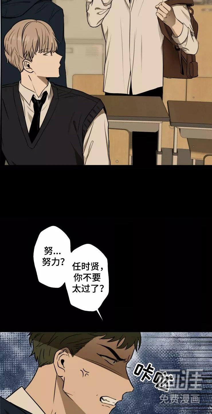 第13章：奇葩