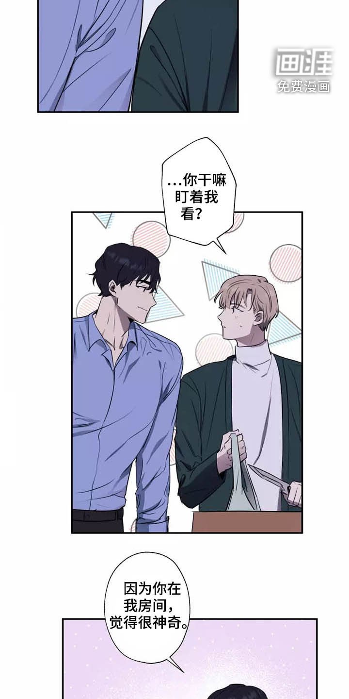 第17章：产生好奇