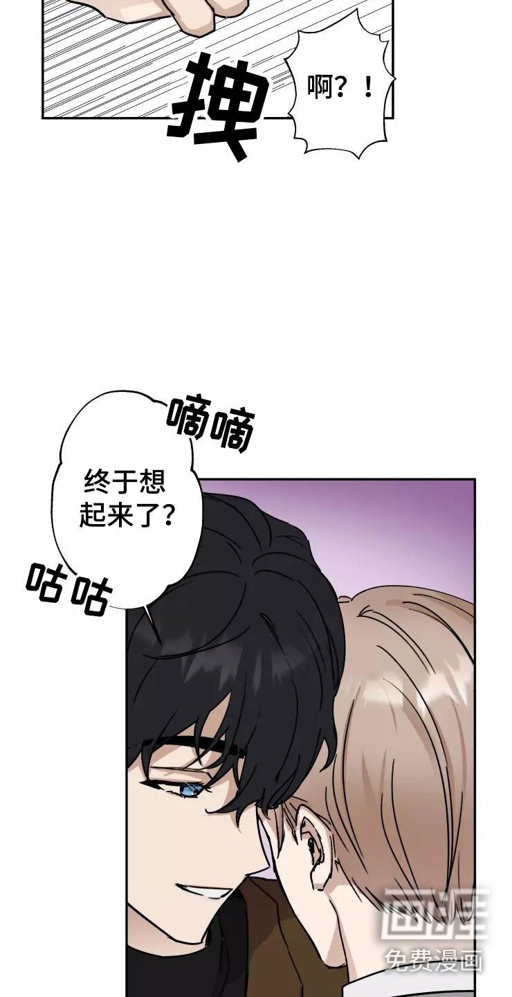第4章：小组课题